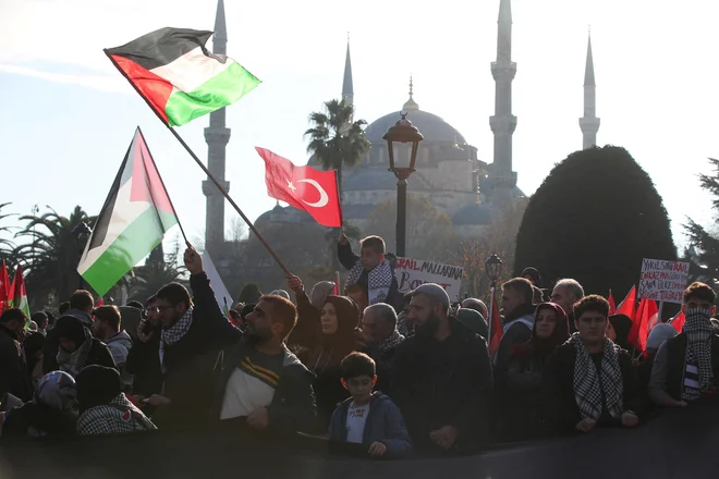 Propalestinske demonstacije v Istanbulu konec lanskega leta FOTO: Dilara Senkaya/Reuters