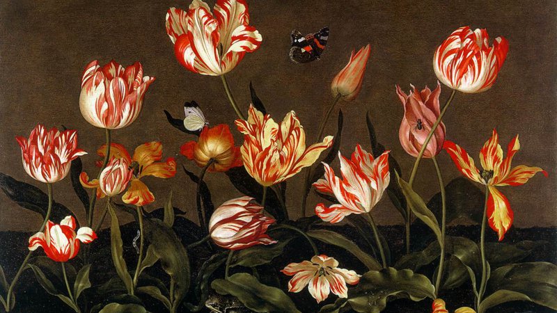 Fotografija: Kot piše Herbert, je v 16. stoletju Holandijo zajela tulipomanija. Foto Johannes Bosschaert: Tihožitje s tulipani, 1628.
