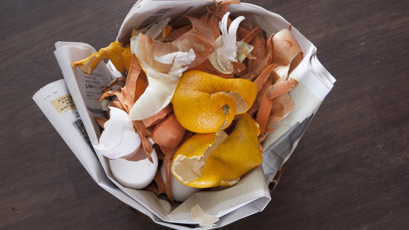 Fotografija: Menda se dogaja, da občani v kante za biološke odpadke ne mečejo le olupkov in gnilih delov solate, temveč biološke smeti zapakirajo v plastične vrečke in te odložijo v rjav zaboj. FOTO: Shutterstock