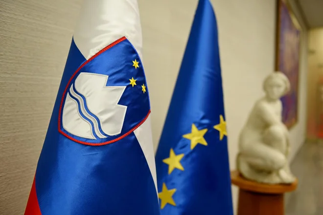 Blilžajo se voitve v evropski parlament. FOTO: Arhiv Dela