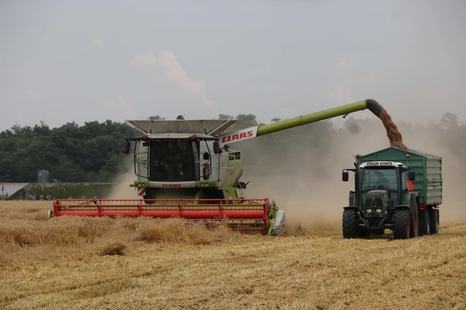 Skupina Panvita je eden največjih igralcev na slovenskem kmetijskem in živilskem trgu. FOTO: Jože Pojbič