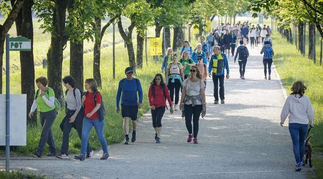 FOTO: Jože Suhadolnik/Delo