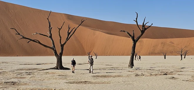 Deadvlei, mrtvo močvirje s posušenim drevjem FOTO: Boris Šuligoj