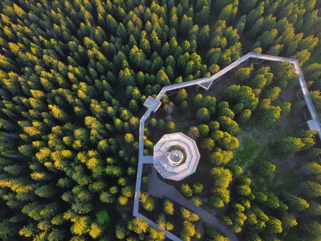 Izognili se ne bomo niti lokalnim ekološkim težavam in izzivom zelenega prehoda, ki čakajo Slovenijo in vzhodni del države. FOTO: Shutterstock 