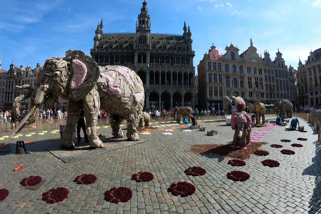 Ob Parizu bo tudi Bruselj v znamenju stoletnice nadrealizma. FOTO: AP