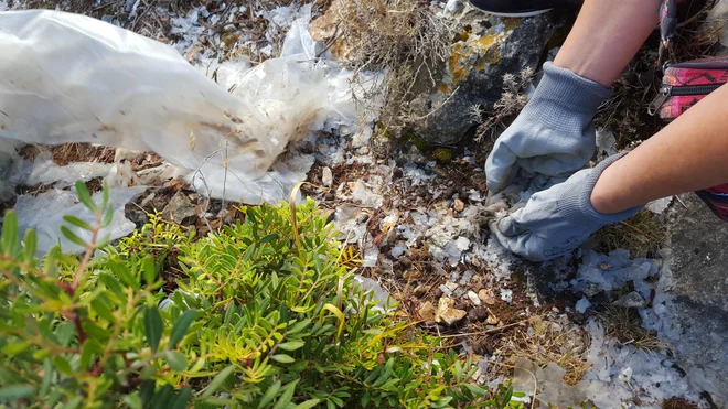 Plastika se ne razgradi, temveč razpade na manjše delce. FOTO: Borut Tavčar/Delo