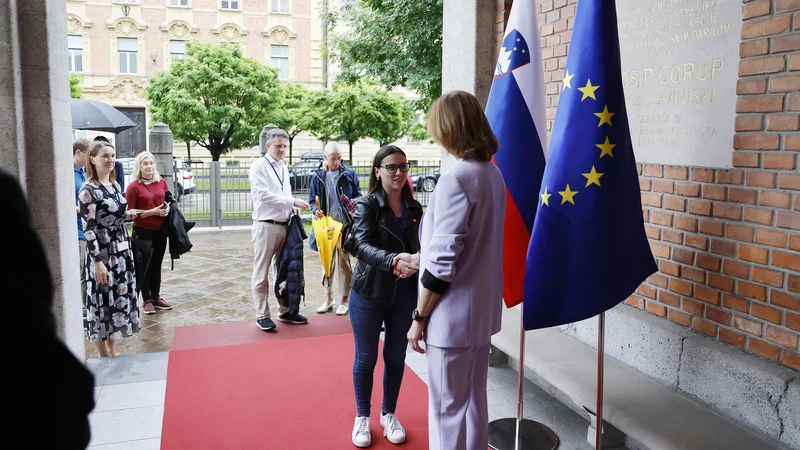 Pri protokolarnem vhodu s Prešernove se začenjajo srečanja z zunanjimi ministri drugih držav oziroma državniki, tu se izročajo kopije poverilnih pisem vodij diplomatskega protokola. FOTO: Leon Vidic