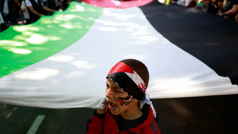 »To je zgodovinski dan tako za Palestino kot za Irsko,« je na današnji tiskovni konferenci v Dublinu dejal irski premier Simon Harris. FOTO: Susana Vera/Reuters
