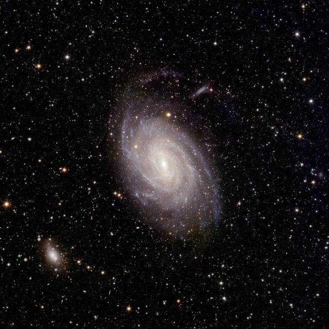 V takšnih galaksijah, kot je spiralna galaksija NGC 6744, nastaja večina zvezd v lokalnem vesolju. FOTO: Esa/Euclid/Nasa 

 