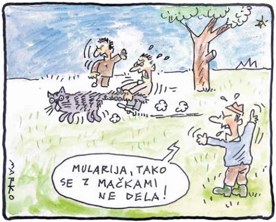 KARIKATURA: Marko Kočevar
