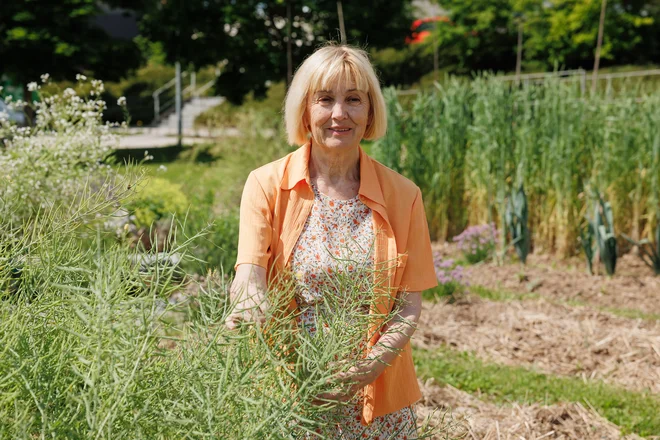 »V Sloveniji je pametno, da še vedno ohranjamo vse te zelenjavne vrtove, vendar pa preveč prevladuje ekonomija in premalo ekologija in etika,« pravi Jožica Fabjan. FOTO: Črt Piksi/Delo