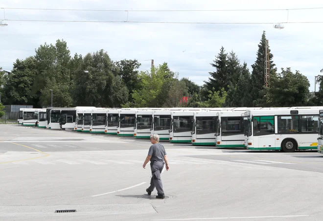 Ena izmed novosti, ki bo zagotovo vključena v strateški prostorski dokument, je sprememba namembnosti zemljišča LPP, kjer bosta v prihodnjih letih stanovanjsko naselje in tretji največji mestni park. FOTO: Dejan Javornik