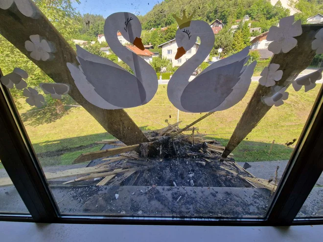 OŠ Bistrica pri Tržiču FOTO: Arhiv občine Tržič