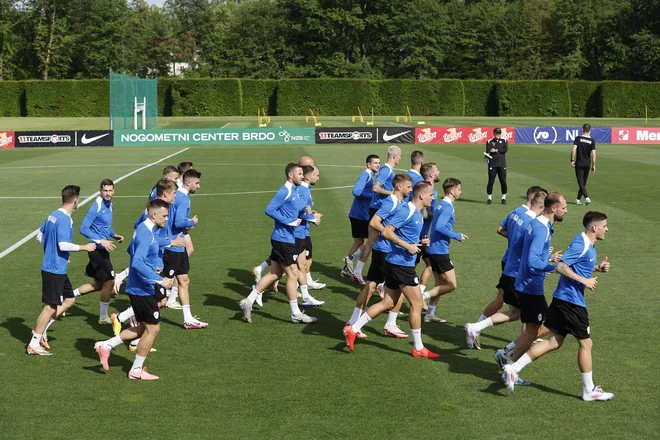 Pri slovenski reprezentanci si želijo, da bi imeli tudi v Wuppertalu takšen mir za trening, kot je doma na Brdu. FOTO: Leon Vidic/Delo