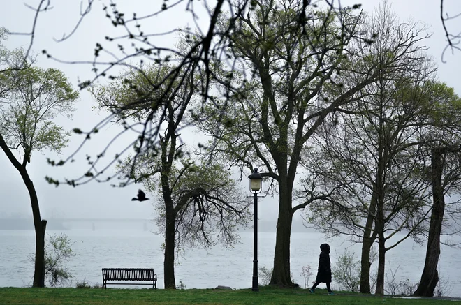 Sprehod ob reki Potomac v mestu Alexandria. FOTO: Kevin Lamarque/Reuters