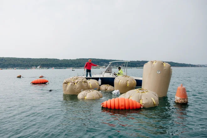 Nameščanje podvodne strukture zavoda YouSea iz Portoroža sredi rezervata v Piranskem zalivu Foto Lovro Rozina