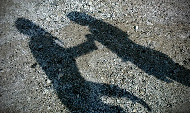 Nasilnega učenca so po besedah ravnateljice takoj odstranili iz šole in do nadaljnjega vanjo ne bo imel vstopa. FOTO: Blaž Samec/Delo