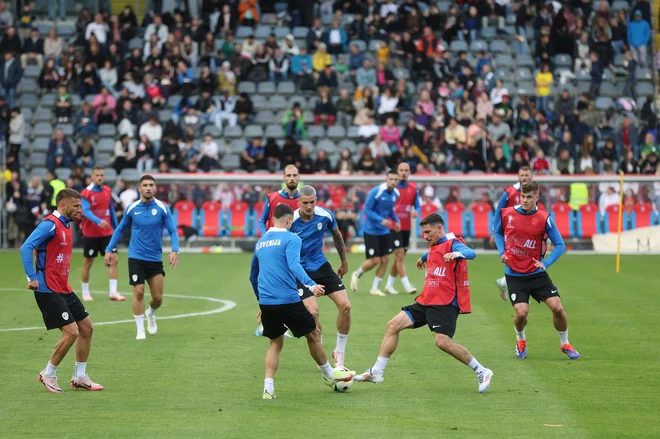 Vaditi pred polnimi tribunami je vedno privlačno, priznavajo Slovenci. FOTO: Leon Vidic