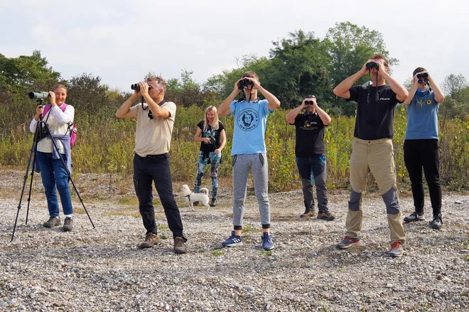 Izlet EuroBirdwatch FOTO: Gregor Bernard