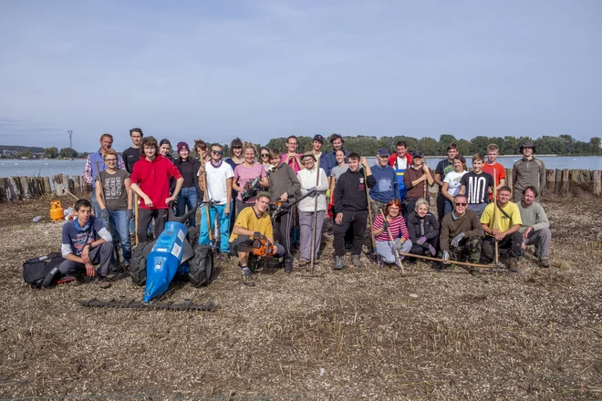 Prostovoljna delovna akcija čiščenja gnezditvenih otokov za navadne čigre na Ptuju FOTO: Tilen Basle 