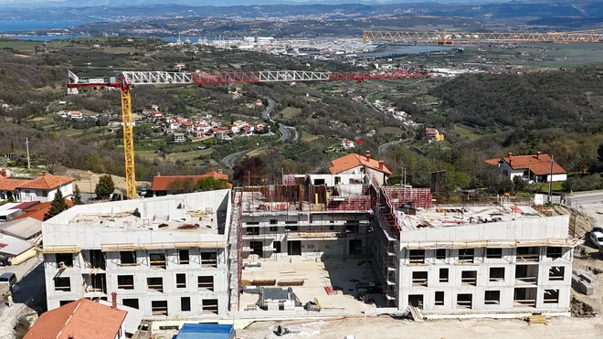 Šmarje pri Kopru, Murva FOTO: Stoja Trade