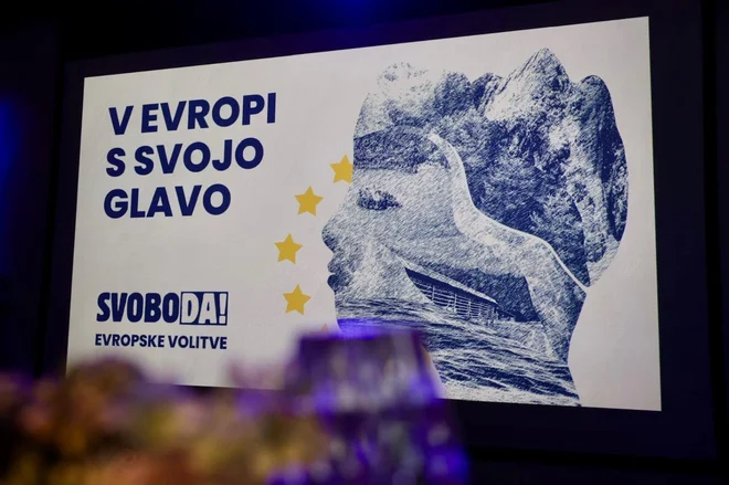 V Evropi s svojo glavo. Natanko to se je zgodilo... FOTO: Črt Piksi/Delo