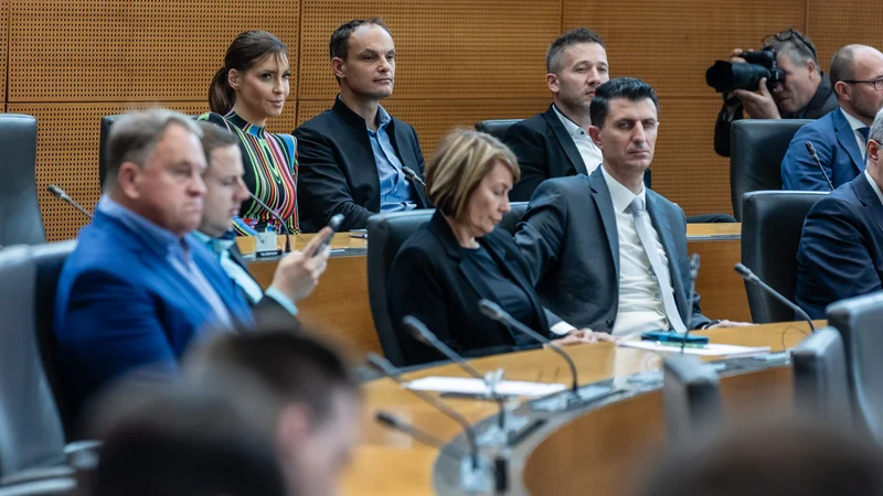 »Če ni interesa za prenovo v stranki, zaradi tega ni treba spreminjati statuta stranke,« je za Delo povedal Anže Logar. FOTO: Črt Piksi/Delo