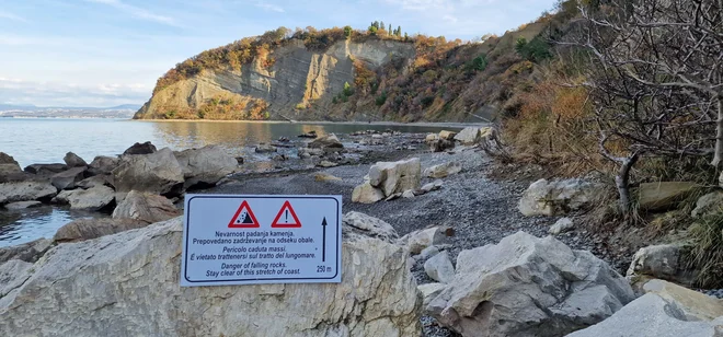 Podor pod flišnatim klifom v Mesečevem zalivu. FOTO: Arhiv Naravoslovnatehniške Fakuletete, Oddelka za geologijo