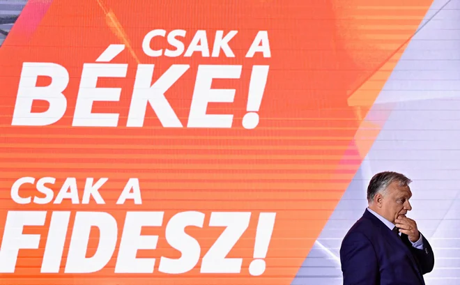 Zsuzsanna Végh, analitičarka: »Glede na institucionalni cikel bo glavna naloga madžarskega predsedovanja EU nemoteno vodenje institucionalnega prehoda.« FOTO: Marton Monus/Reuters