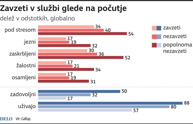 Infografika Delo