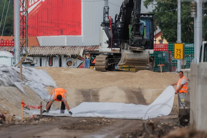 Emoniko, ki jo financirajo Madžari, bodo gradila tako slovenska kot tudi tuja podjetja. Trenutno so na gradbišču delavci Strabaga in novomeškega CGP. FOTO: Črt Piksi/Delo