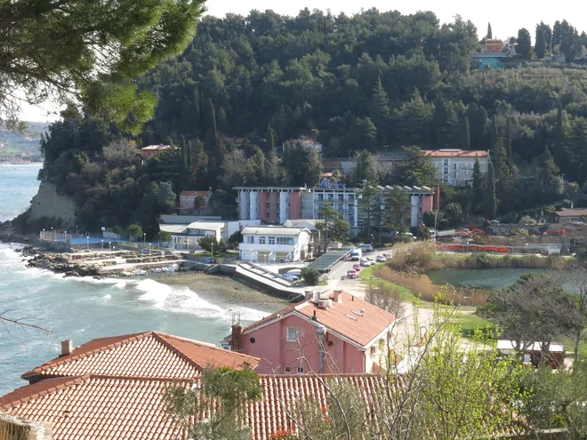 FOTO: Boris Šuligoj