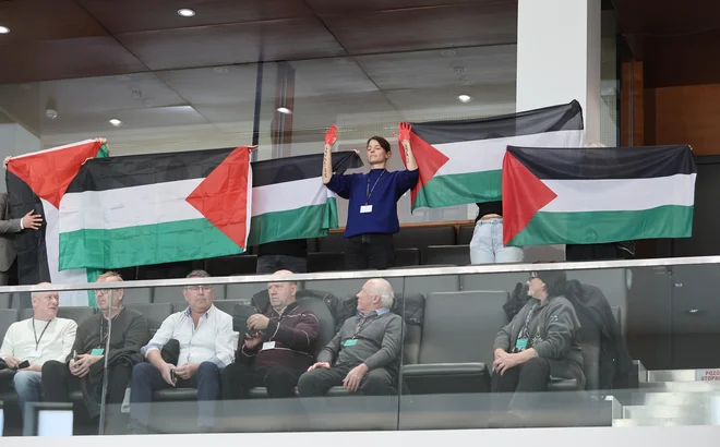 Protest za Palestino v državnem zboru FOTO: Jože Suhadolnik/Delo