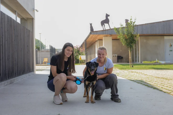 Vodji zavetišča Tanji Ferenčak (levo) in kinološki inštruktorici Maši Konič družbo dela igriva mladička Rozi. FOTO: Črt Piksi