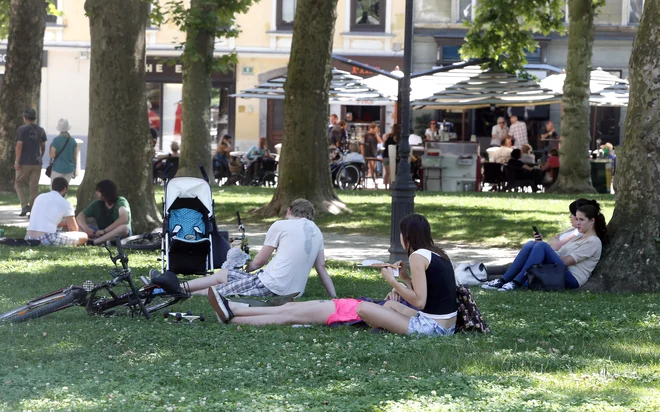 Včasih je bila senca pod drevesi dovolj za ohladitev. FOTO:  Aleš Černivec