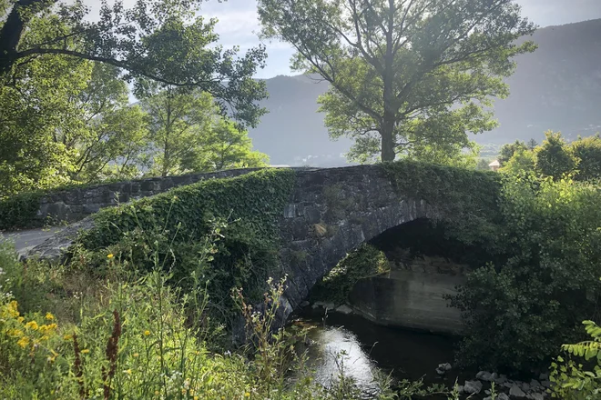 Spodbude podjetjem za bolj odgovorne poslovne prakse do okolja v najširšem smislu so kot most v zeleni prehod. FOTO: Jure Eržen/Delo