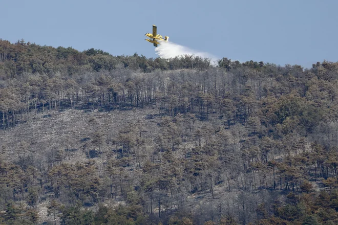 Gasilcem je uspelo ponoči požar omejiti, želja je, da ga danes pogasijo. FOTO: Voranc Vogel/Delo