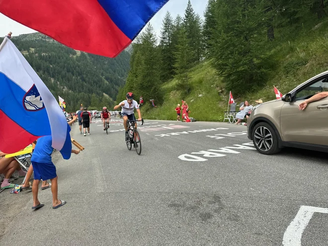 Slovenski navijači na Isoli 2000. FOTO: Miha Hočevar 