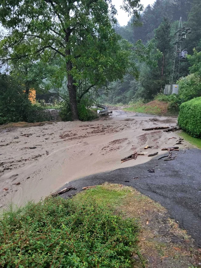 FOTO: Facebook/koroška čveka