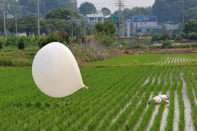 Severna Koreja je v nedeljo še naprej pošiljala smeti prek bodeče žice. FOTO: AFP
