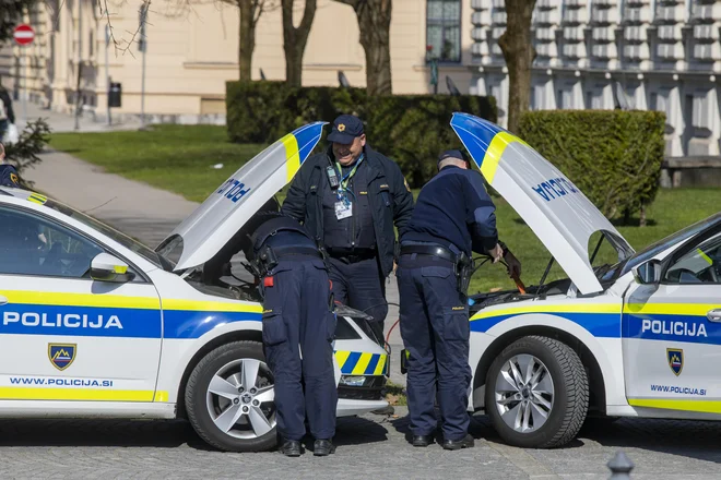 Devet dni so pristojni domnevali, da je bila grožnja z napadom iz trte izvita. To je devet dni predolgo. FOTO: Voranc Vogel/Delo