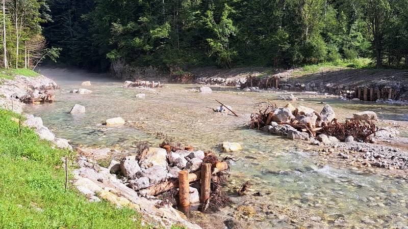 Nad Lučami so s posebnimi ureditvami v Savinji poskrbeli za varovanje brežine, pa tudi umirjanje toka, v njih pa svoja skrivališča najdejo ribe in druge živali. FOTO: Špela Kuralt/Delo
