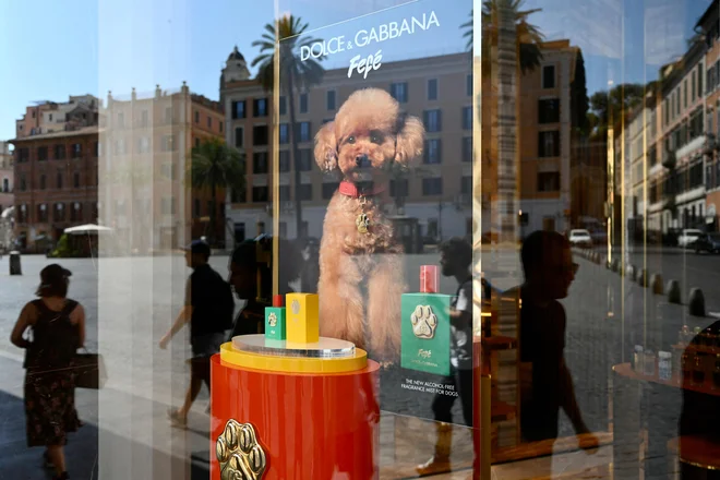 Pasji parfum, ki so ga predstavili pri Dolce Gabbana, je navdušil lastnike psov, ne pa tudi njihovih zaščitnikov. FOTO: Alberto Pizzoli/Afp