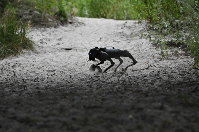 Robot dogs are expected to replace soldiers in war. Photo: Genya Savilov/AFP