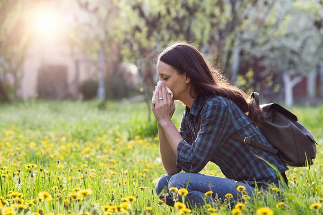 V juniju so pri nas zaznali cvetni prah 39 različnih skupin rastlin. FOTO: Shutterstock