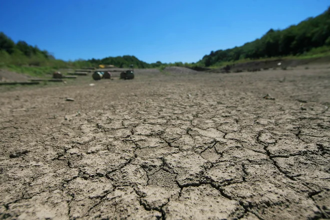 Kmetijska suša v prvi vrsti pomeni težave z izsušenimi tlemi in posledično sušni stres kmetijskih rastlin. FOTO: Jože Suhadolnik/Delo