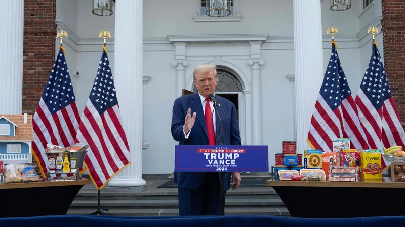 Trump se je pohvalil še z nizkimi hipotekarnimi obrestnimi merami v času njegovega mandata. FOTO: Adam Gray/Getty Images, AFP