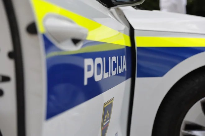 Ni policija tista, ki bo rešila vse izzive, povezane s sobivanjem z Romi. FOTO: Leon Vidic/Delo