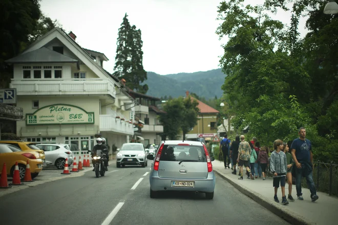Hrup, več hrupa – Mlino! S tem se lahko kitimo! Vreščanje, vpitje, cviljenje ..., tudi zvečer in neredko ponoči. FOTO: Jure Eržen