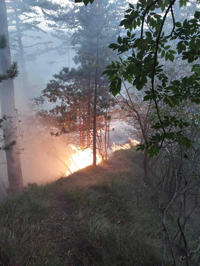 Požara še niso uspeli omejiti. FOTO: PGD Kočevska Reka